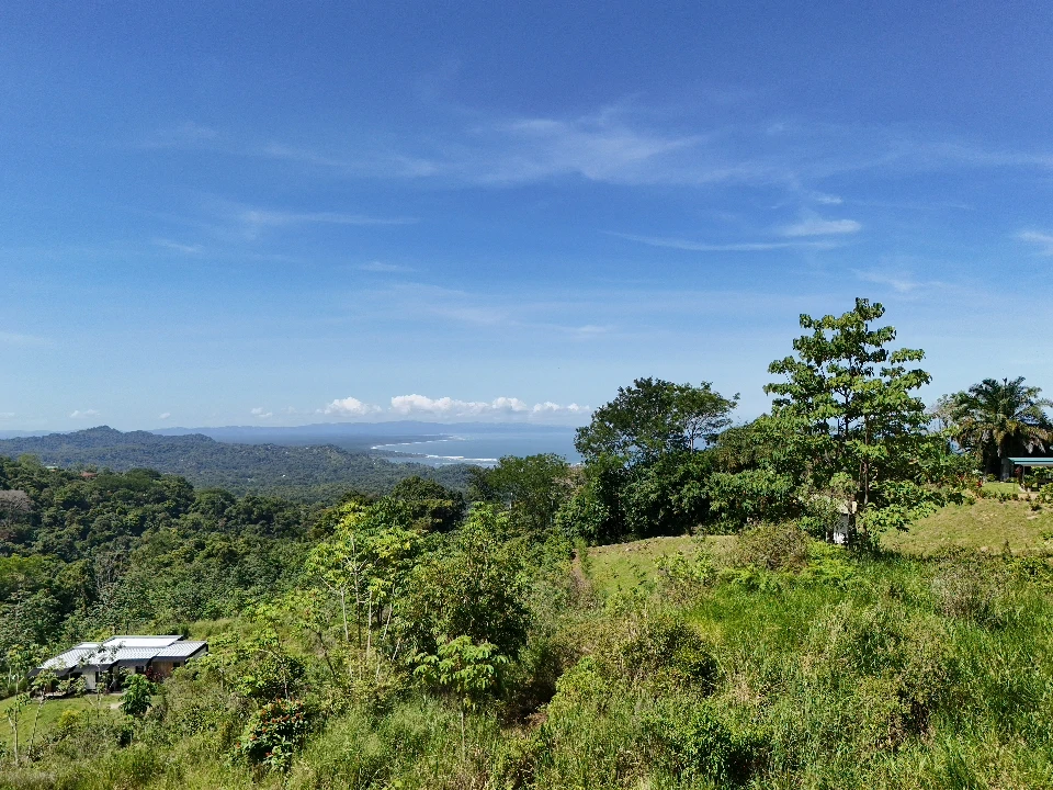 Near the Coast Home Construction Site For Sale in Ojochal - Gallery image 3