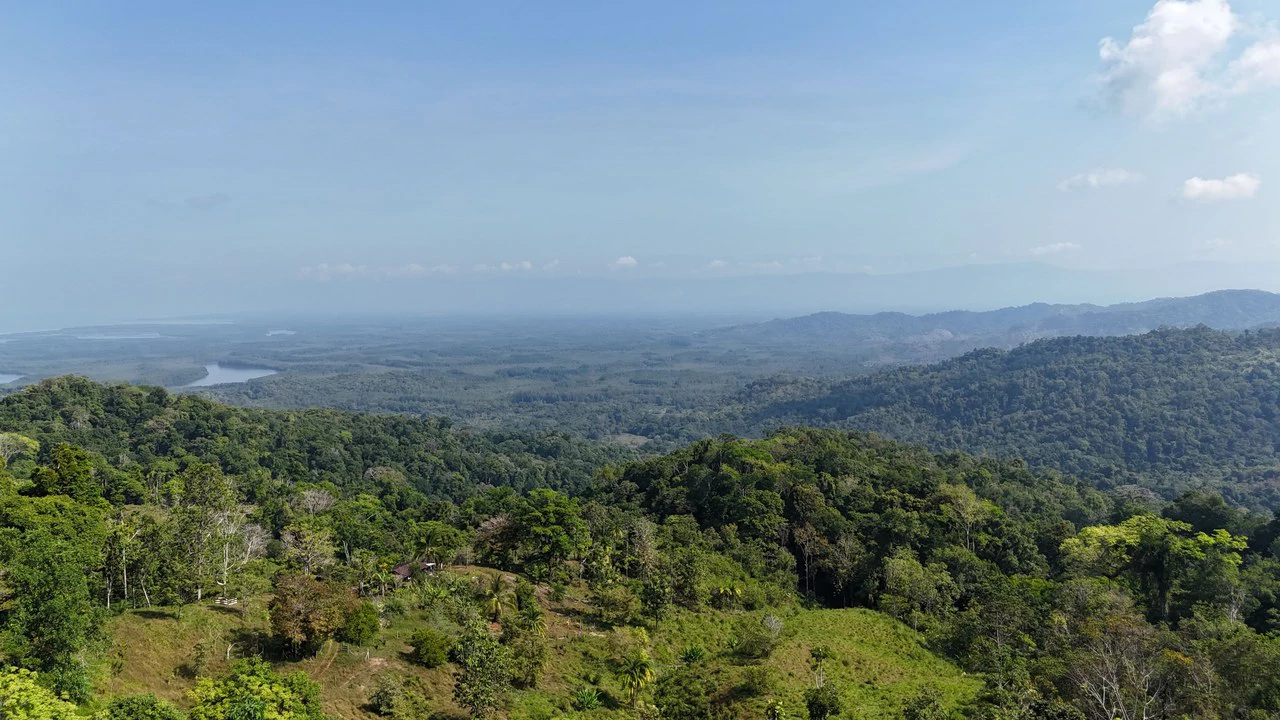 CONSERVATION AND DEVELOPMENT LAND WITH OCEAN VIEW IN SIERPE, COSTA RICA - Gallery image 29