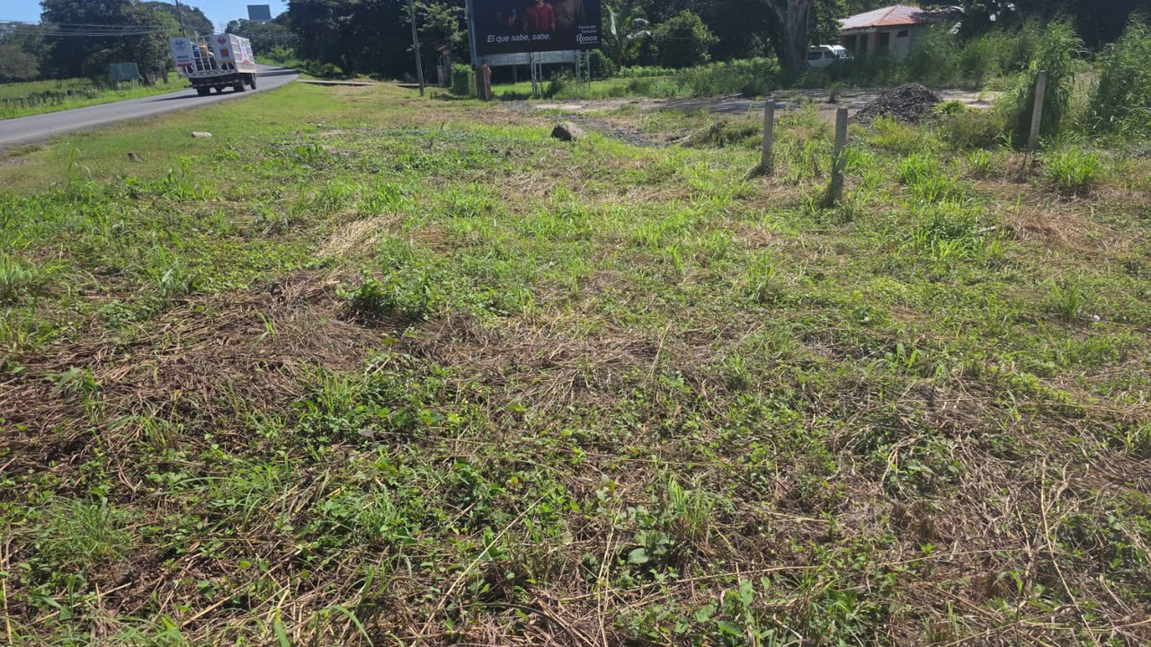 Commercial Airport property for sale with public road frontage on route #21, close to Liberia International Airport - Gallery image 2