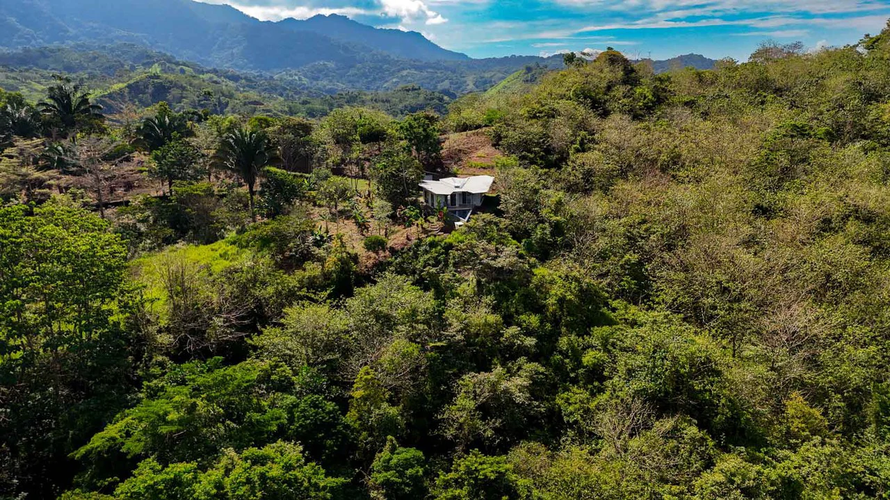 32 Acre Self Sustainable Farm with House Close Ojochal - Gallery image 65