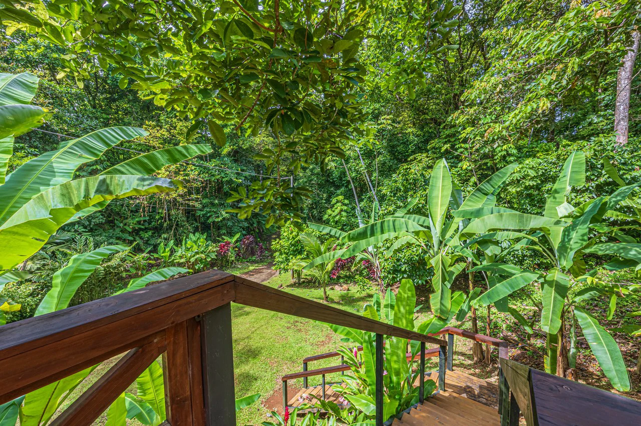 A Jungle House Built of Wood & River Dreams - Gallery image 31