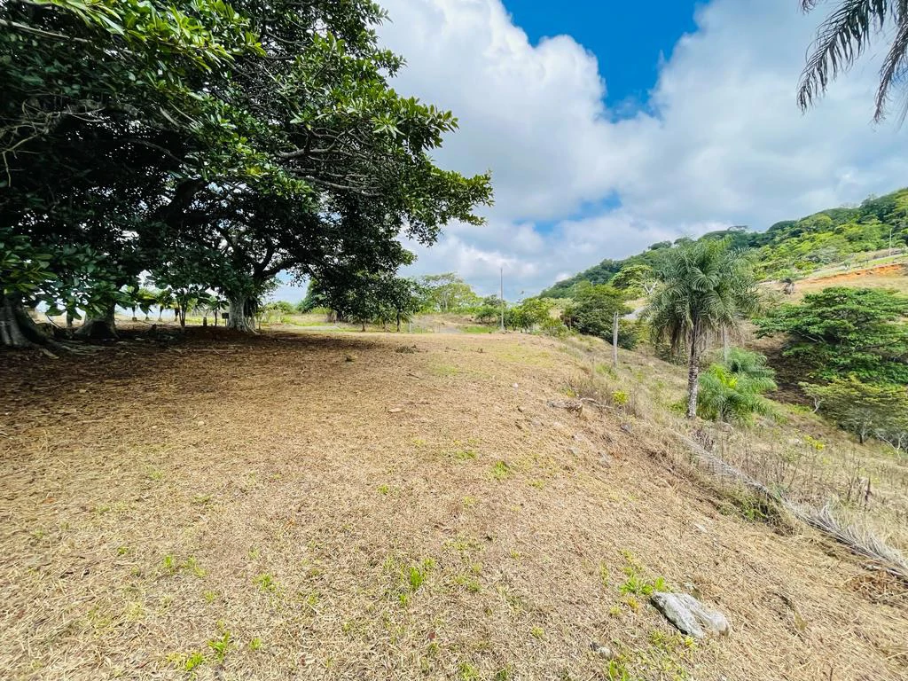 Bargain Lot for sale in Residencial Vista Mar with Ocean and mountain view between San Mateo and Orotina Alajuela Costa Rica - Gallery image 18