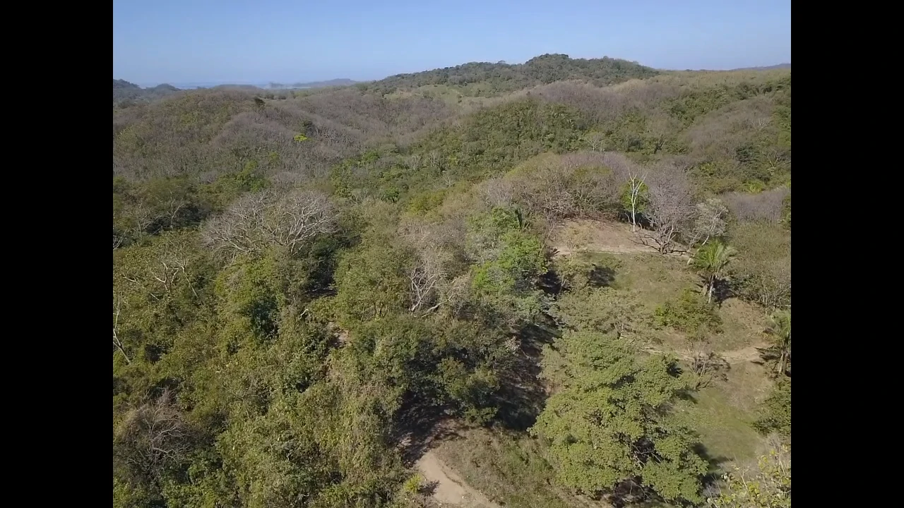 Finca Nora - Your Exclusive Tropical Paradise near Barrigona and Samara beach: Mountain Home Construction Site For Sale in Playa Samara - Gallery image 7