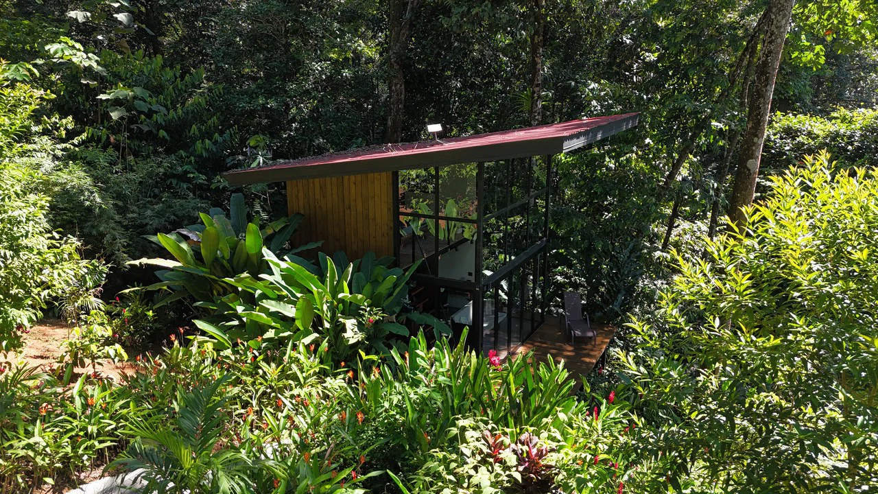 1.7 Acres Ocean View Lot with Producing Cabin in Uvita - Gallery image 7