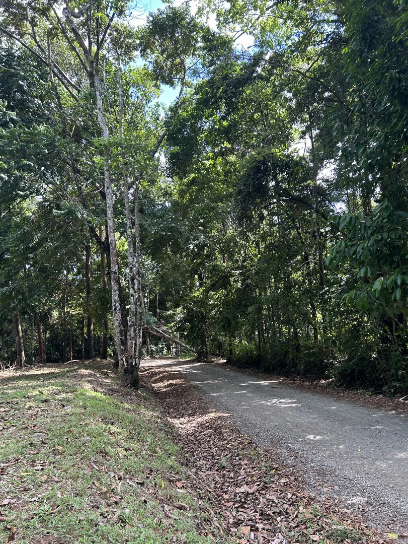 Cabo Matapalo: Jungle View Lot Priced To Sell! - Gallery image 34