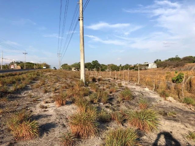 Commercial Property for sale, Located directly in front of the national Route #21 and Diagonal from the new project NYA - Gallery image 2