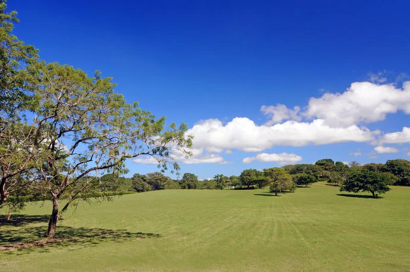 Near the Coast, Oceanfront and Riverfront Agricultural Land For Sale in Papagayo Gulf - Gallery image 3