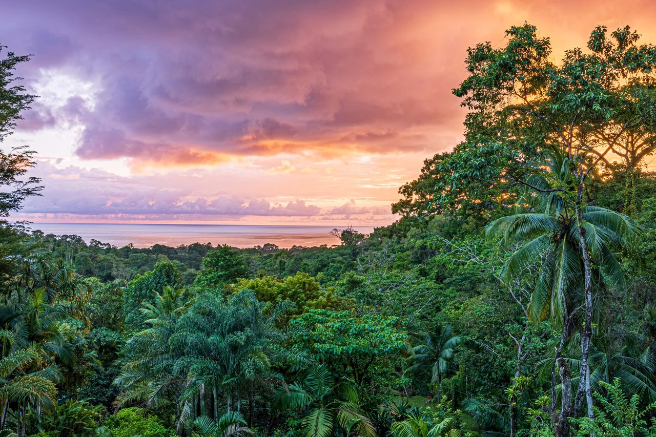 Luxurious Coastal Retreat with Ocean Views in Uvita, Costa Rica - Gallery image 40