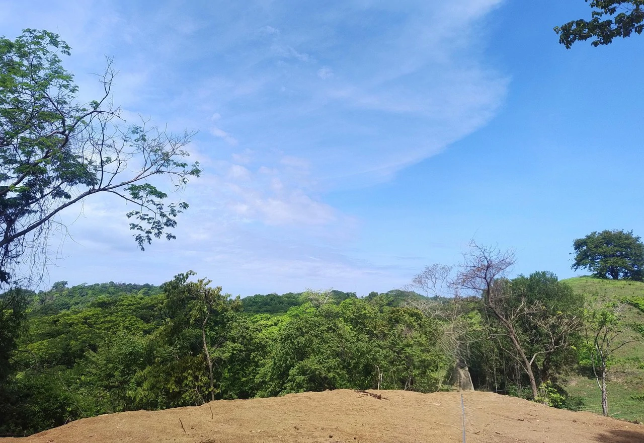 Hilltop Lot Surrounded by Nature - photo 3