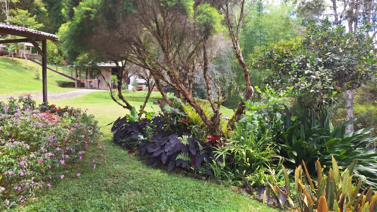 Mountain House For Sale in San Isidro del General - photo 4