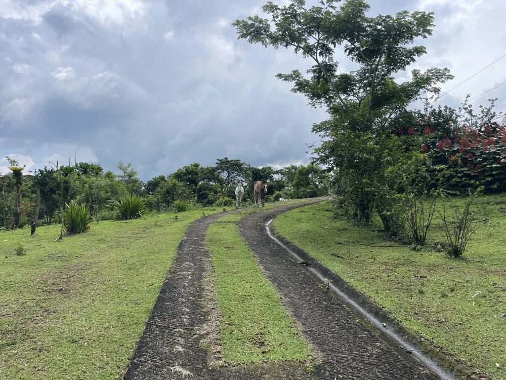 Nuevo arenal: Looking for a Property to Develop Family Residences with Lake Views? - Gallery image 34