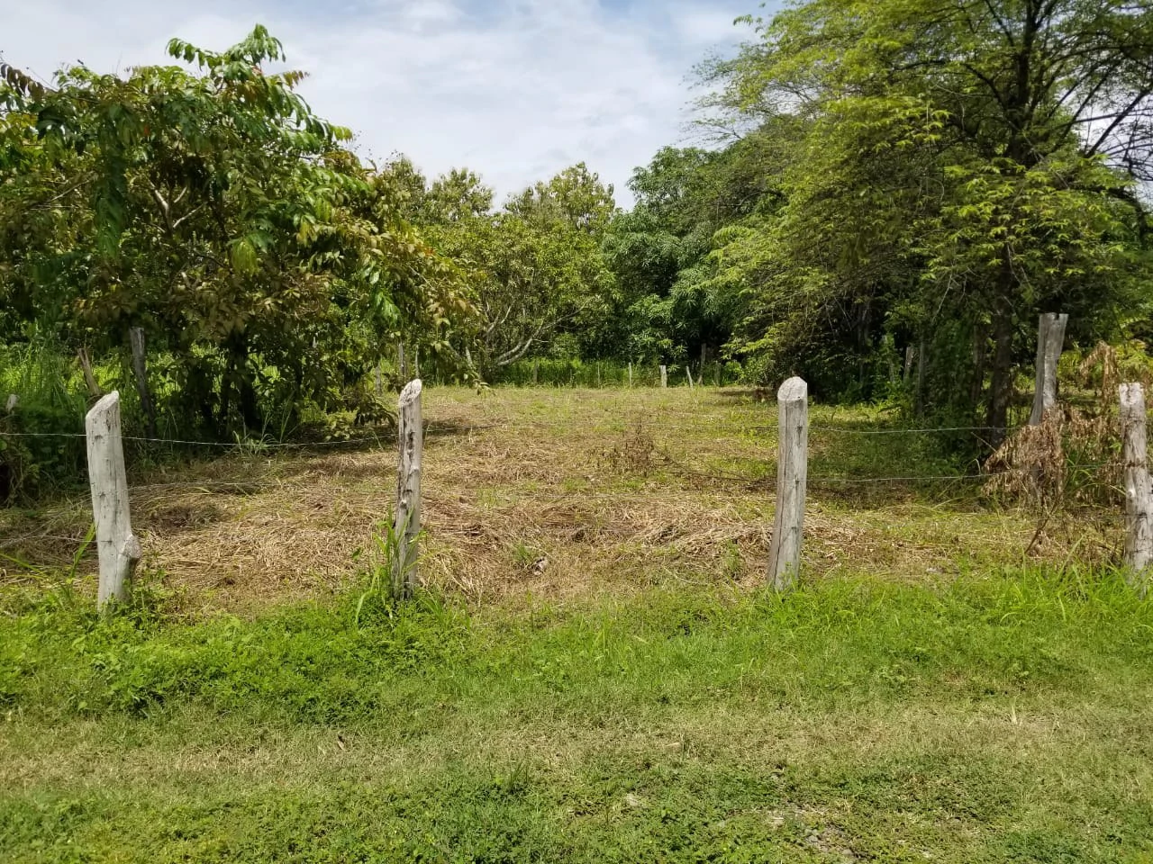 Amazing lot located near Paquera downtown. Now Available! - Gallery image 3