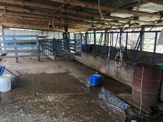 Costa Rica horse Farmland close to Monteverde - Gallery image 8