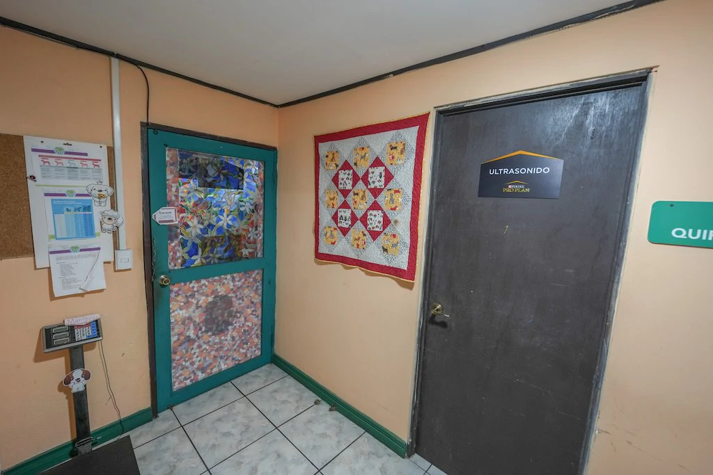 Retail Strip Center For Sale in Barrio Escalante - Gallery image 16