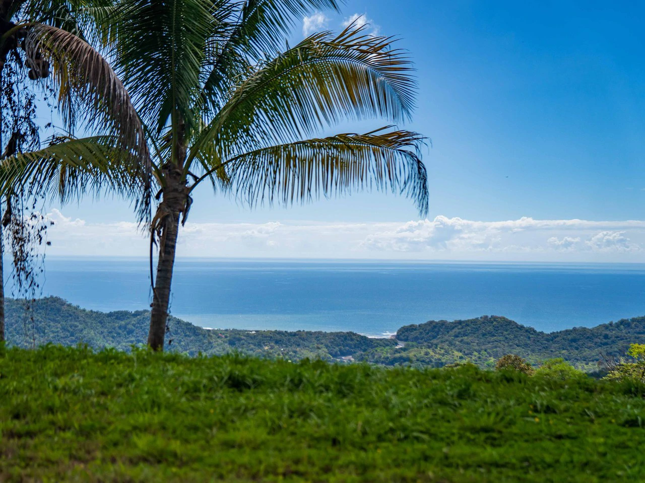 Lote Tres Palmas: Stunning Ocean View lot with 2 Platforms - Gallery image 15