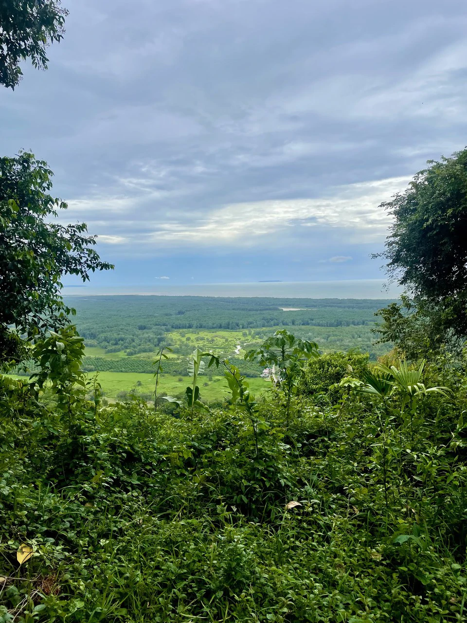 TROPICAL MASTERPIECE – 61.78 ACRES OF OCEANVIEW BLISS WITH WATERFALL: Mountain Development Parcel For Sale in Tres Rios - Gallery image 4