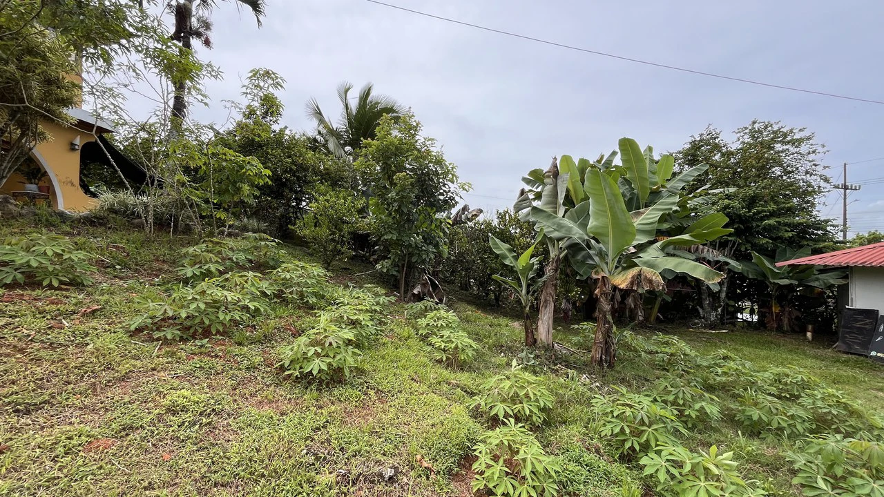 House For Sale in San Pedro - photo 4