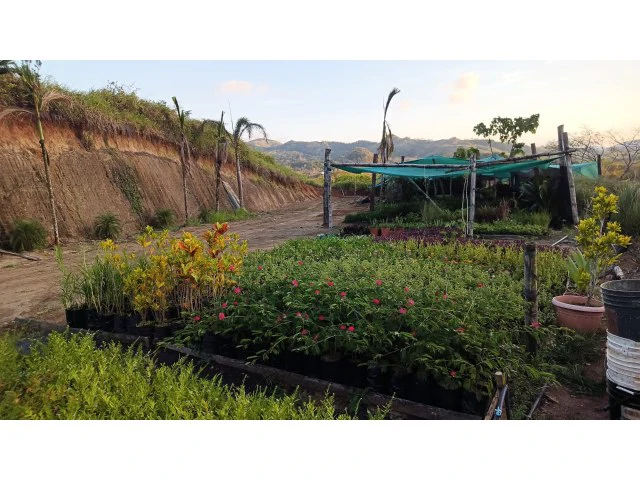 Exclusive lot for sale in Hojancha's green, tropical, rolling mountains, just 3 minutes from town