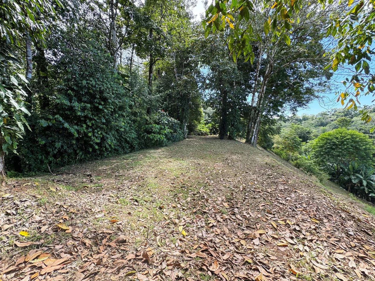 1.6 Acre Ocean View Home site in Uvita the Best Views in Town - Gallery image 22