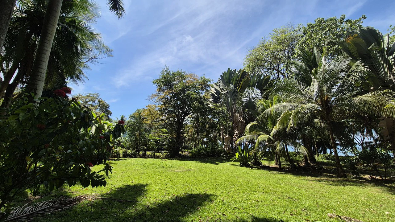 Dream Beachfront Property at Ballena Beach in Uvita, Costa Rica - Gallery image 9