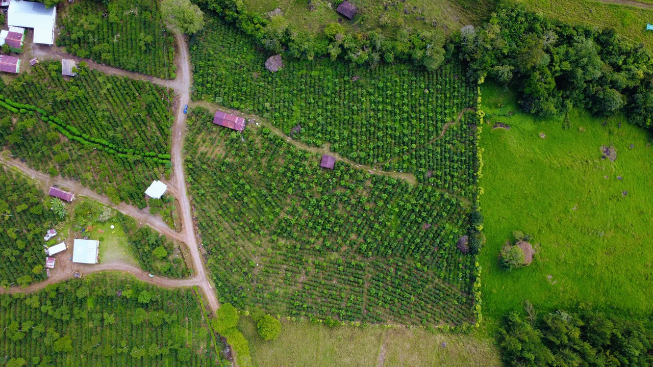 Countryside Agricultural Land For Sale in Santa Elena de San Isidro - Gallery image 21