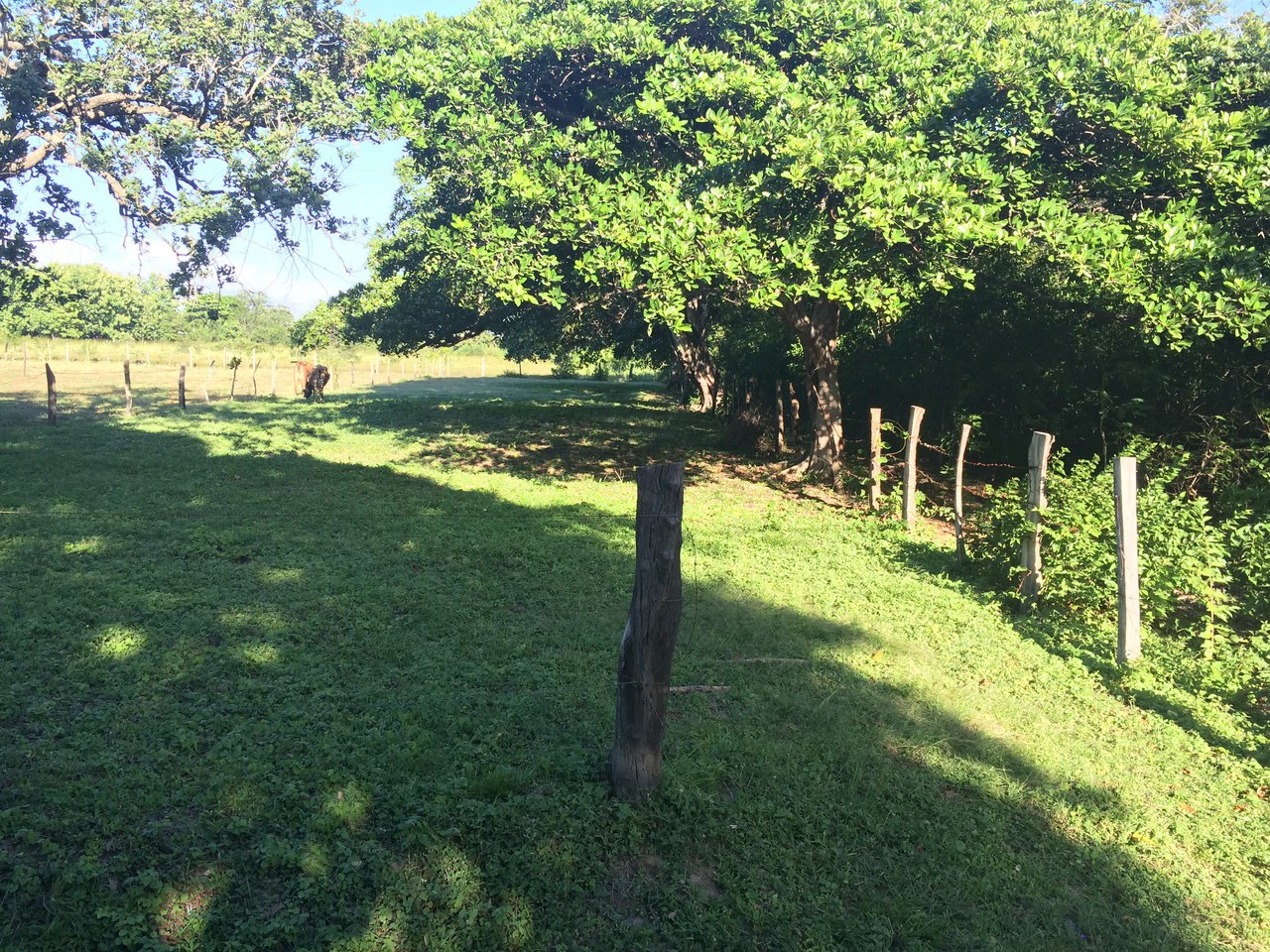 Precioso lote en Barrio La Cruz, Liberia: Building Lot for Sale in La Cruz – Flat Land Surrounded by Nature in a Peaceful Neighborhood - Gallery image 2