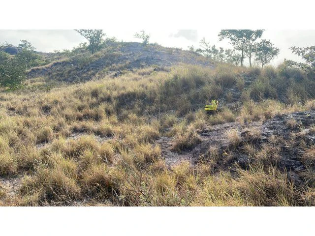 Zoning for homes, apartments, and warehouses in the mountains of Liberia, Beautiful 9.7 ha land with building permits - Gallery image 12