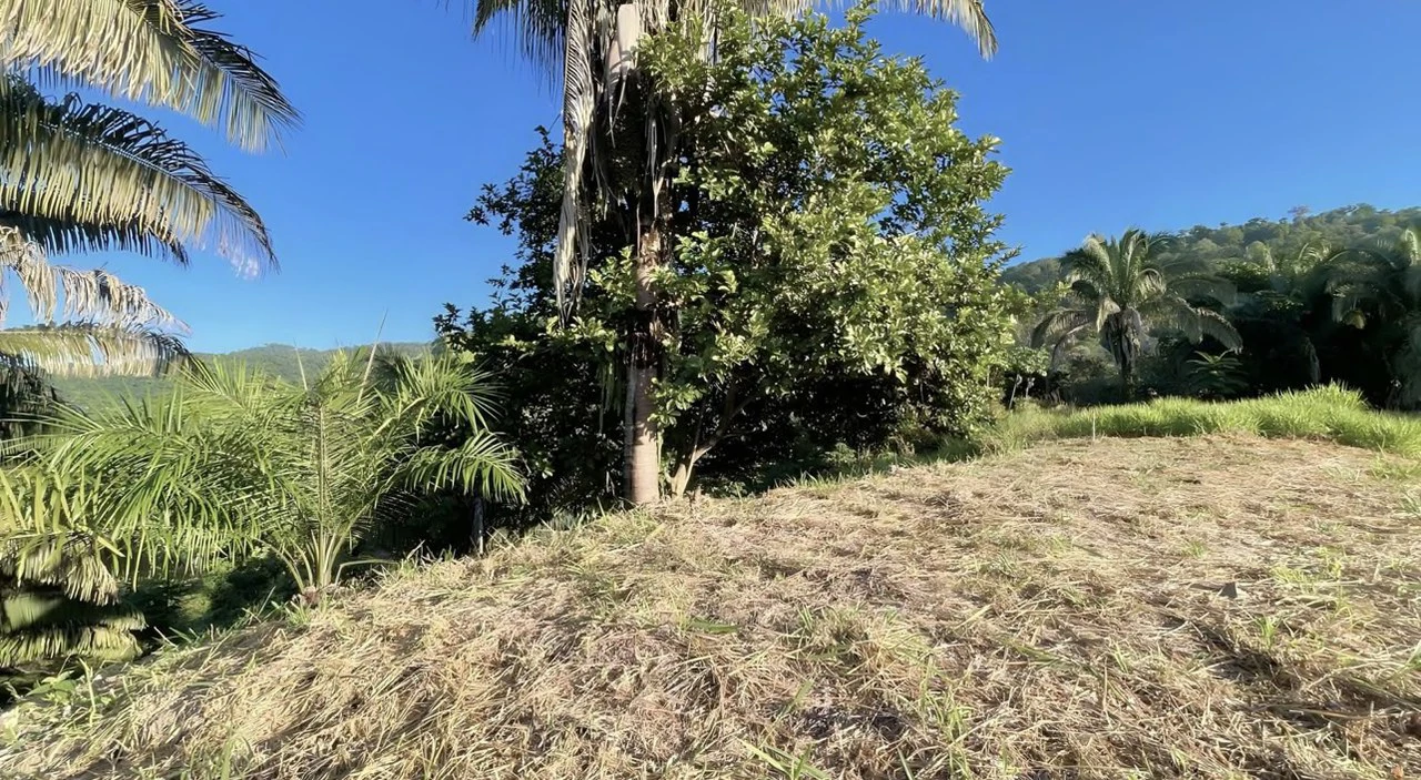 Exclusive Hermosa 1.2 Acre Lot with Panoramic Mountains and Ocean View. - Gallery image 10