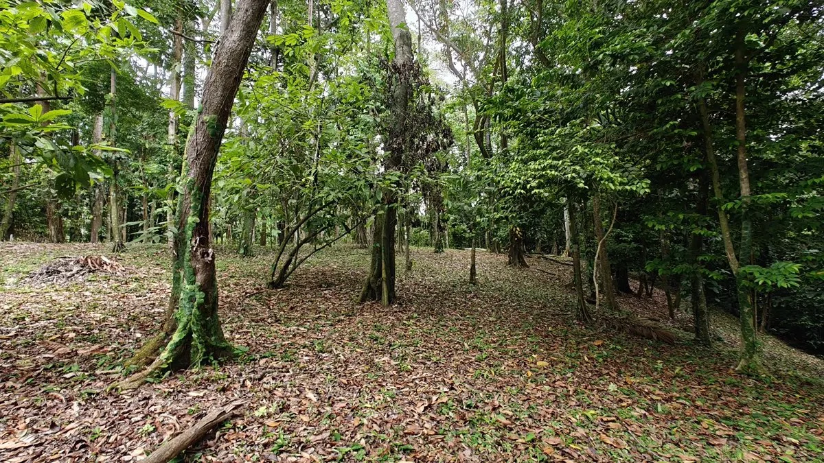 ID 1121: 1,979m² Titled Lot - Last Available Lot in Punta Uva Hills - Near Punta Uva Beach - photo 6