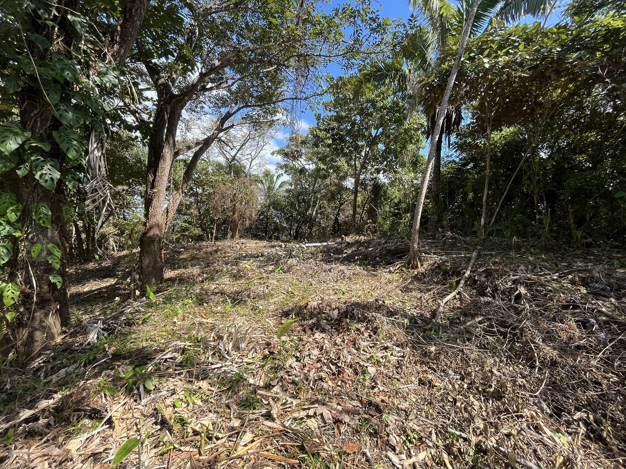 Lot 74 Montana: Beautiful Ocean View - Gallery image 6