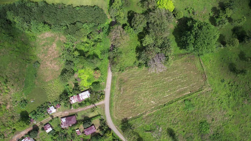 Land For Sale with Excellent Location in La Amapola, Puerto Jimenez - Gallery image 12