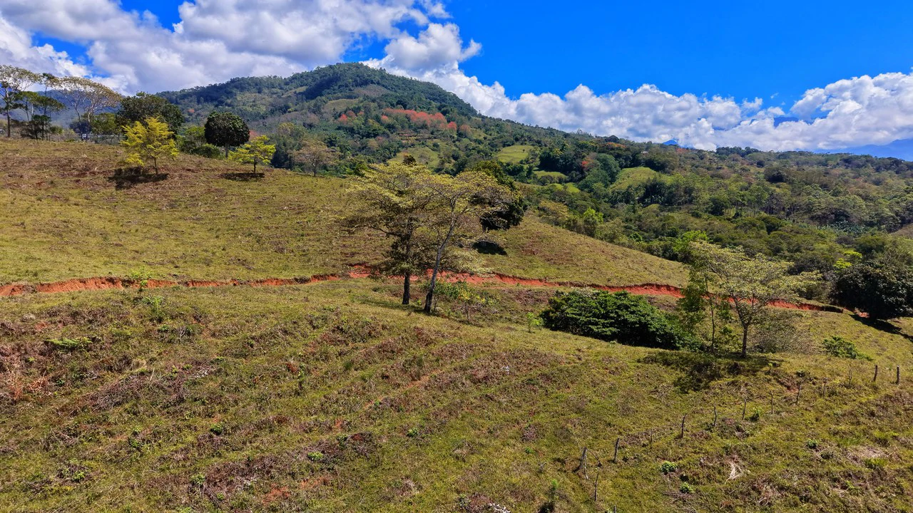 Agricultural Land For Sale in MORAZAN - Gallery image 3