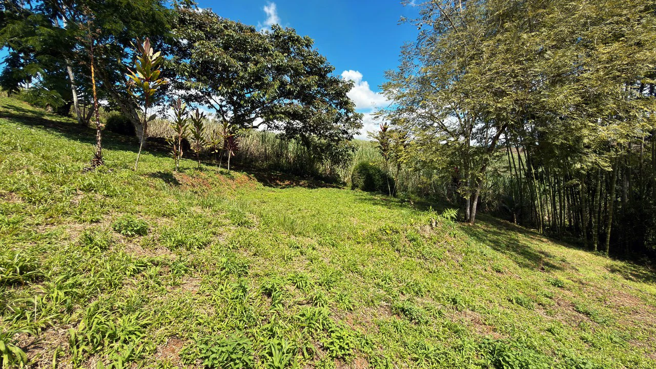 Countryside Home Construction Site For Sale in San Pedro - Gallery image 6