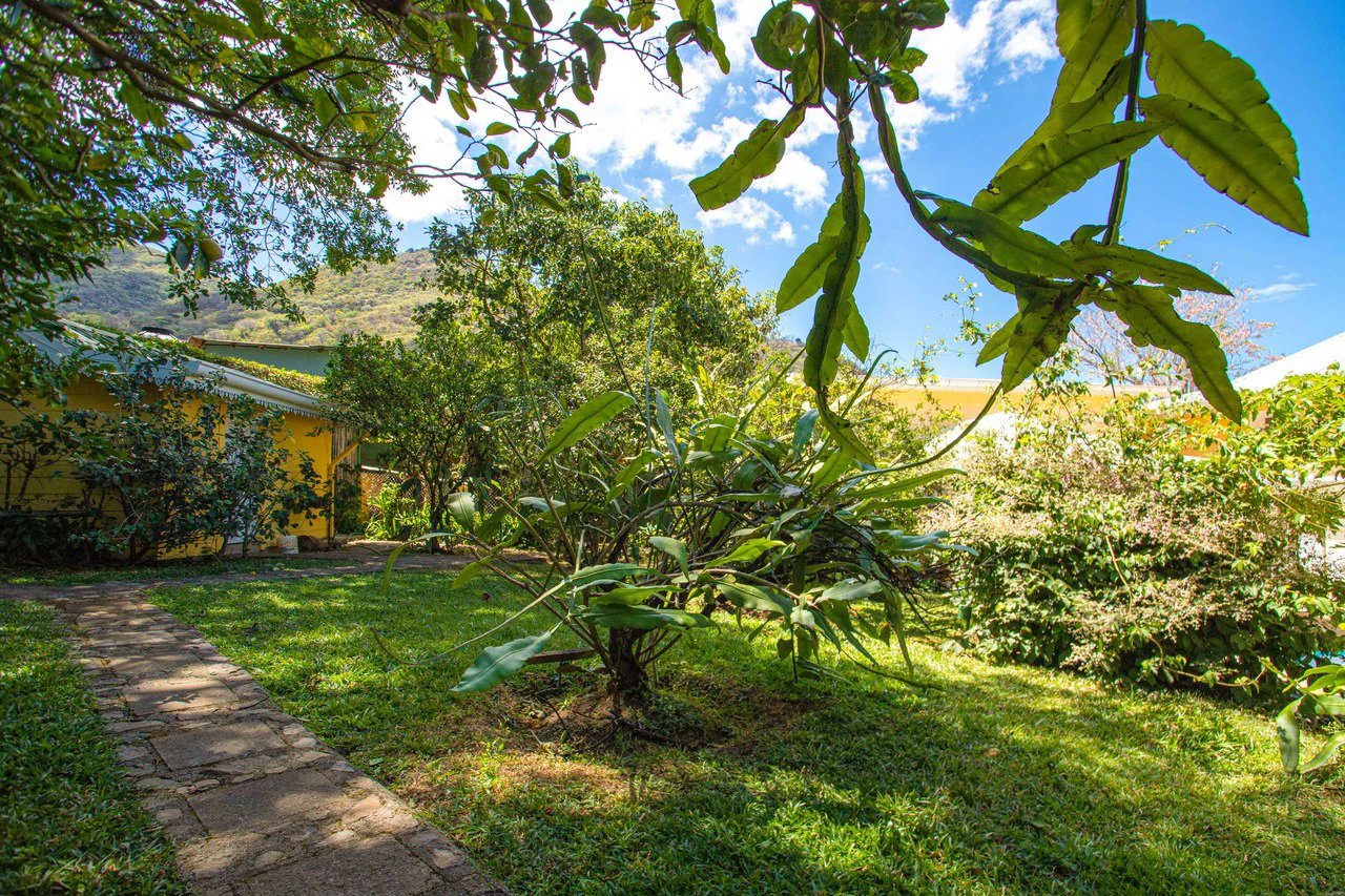 LUXURY PROPERTY HOUSE AND 5 APARTMENT SANTA ANA: Incredible property to live or invest. Ideal for single space. . This beautiful property measures 4857 m2 of lot with a street front of 23m2 and 432 m2 - Gallery image 45
