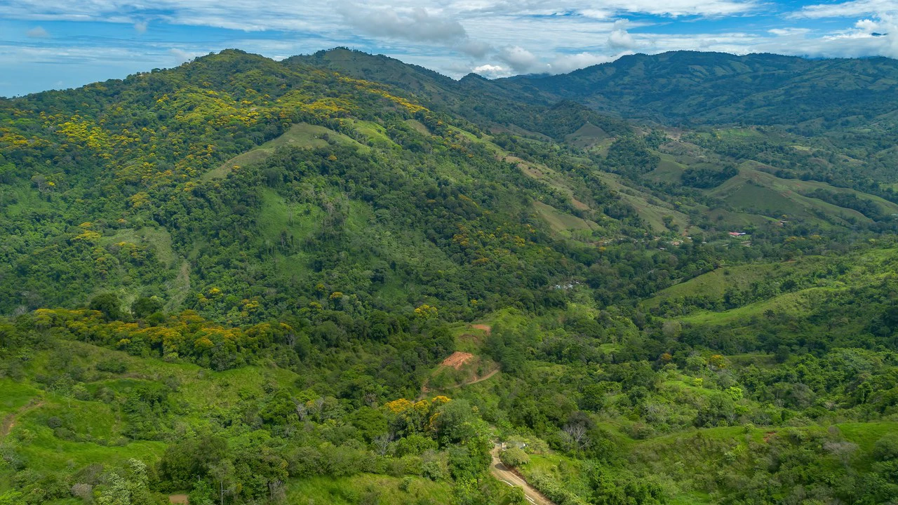60+ Hectares in Platanillo | Own Your Own Mountain in Costa Rica - Gallery image 26
