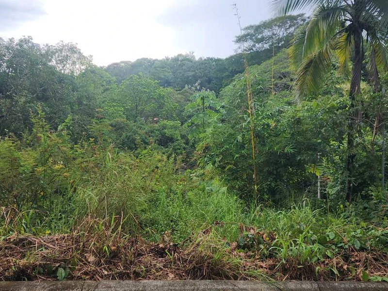Subdividable lot in Manuel Antonio