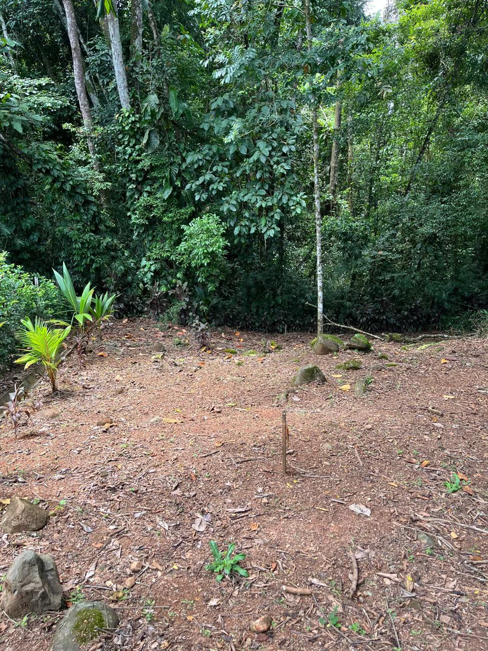 Turnkey Jungle lot in Downtown Uvita - Gallery image 3
