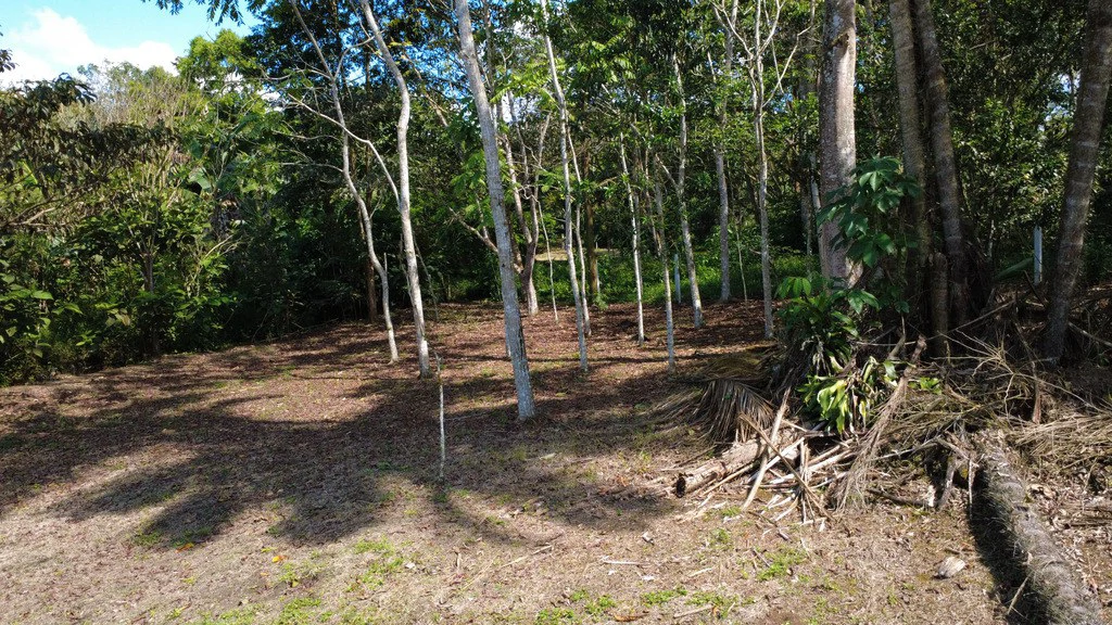 Home Construction Site For Sale in Cajón - Gallery image 5