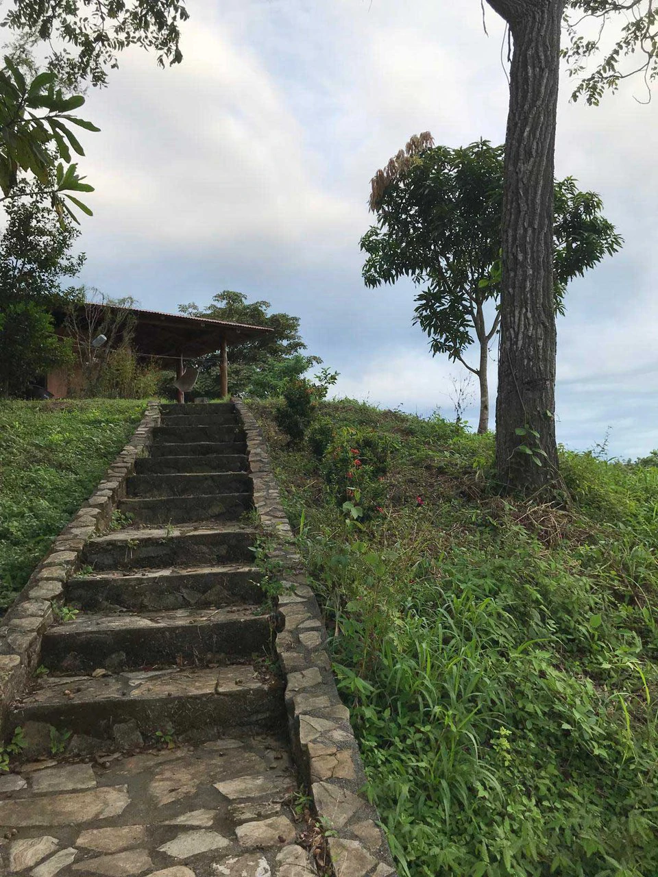 ID 4063: Bahia Gigante, a little piece of heaven on earth - Gallery image 12