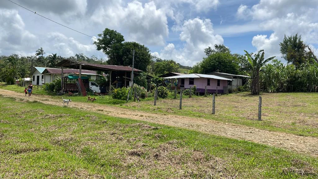 Mountain Agricultural Land For Sale in Bijagua - Gallery image 43