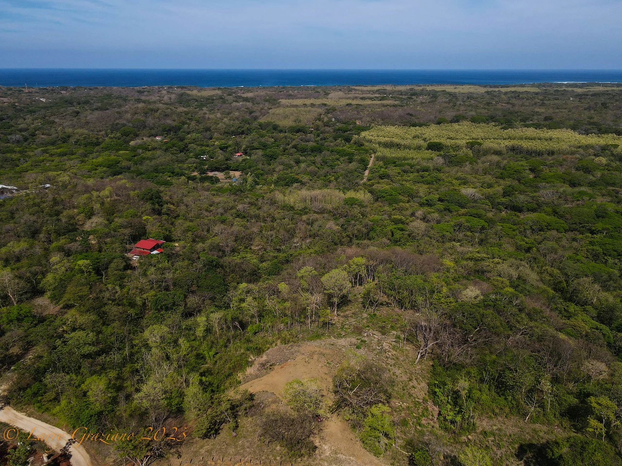 Six Acres Ocean View on Three Lots - Gallery image 5