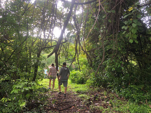 Warm Spring Mountain Property in a tropical landscape and antique wooden house,  50 minutes from Liberia city - Gallery image 16