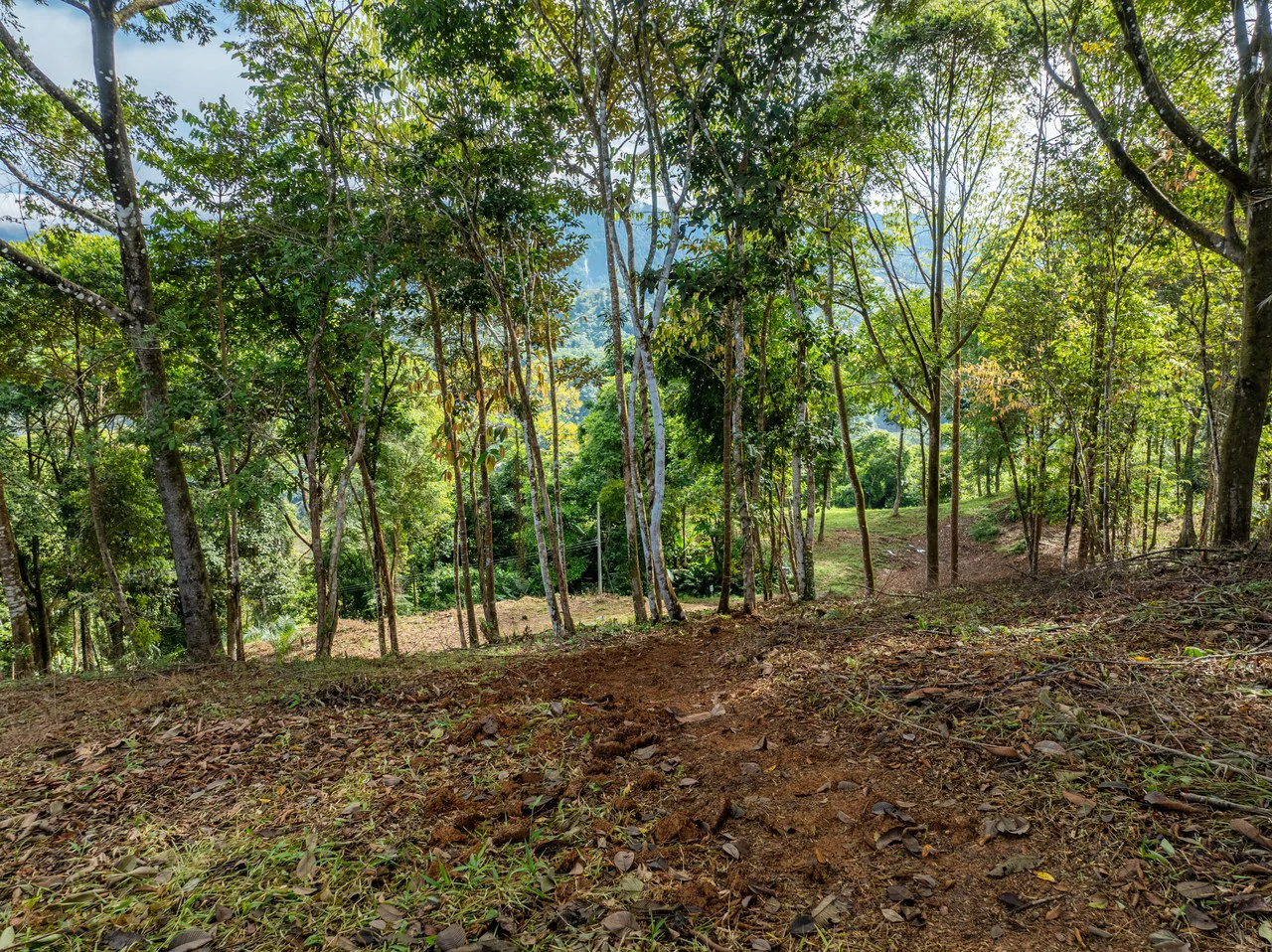 2.9 Acre Paradise with Diamante Valley Views Dominical - Gallery image 25