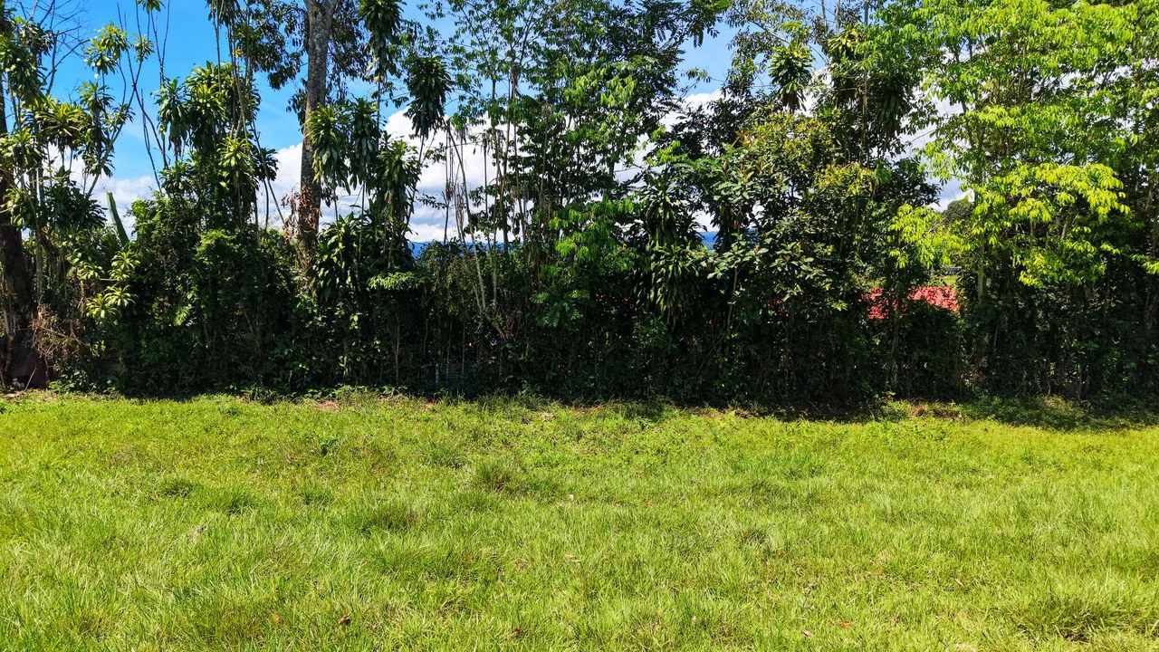 Countryside Home Construction Site For Sale in Daniel Flores - Gallery image 11