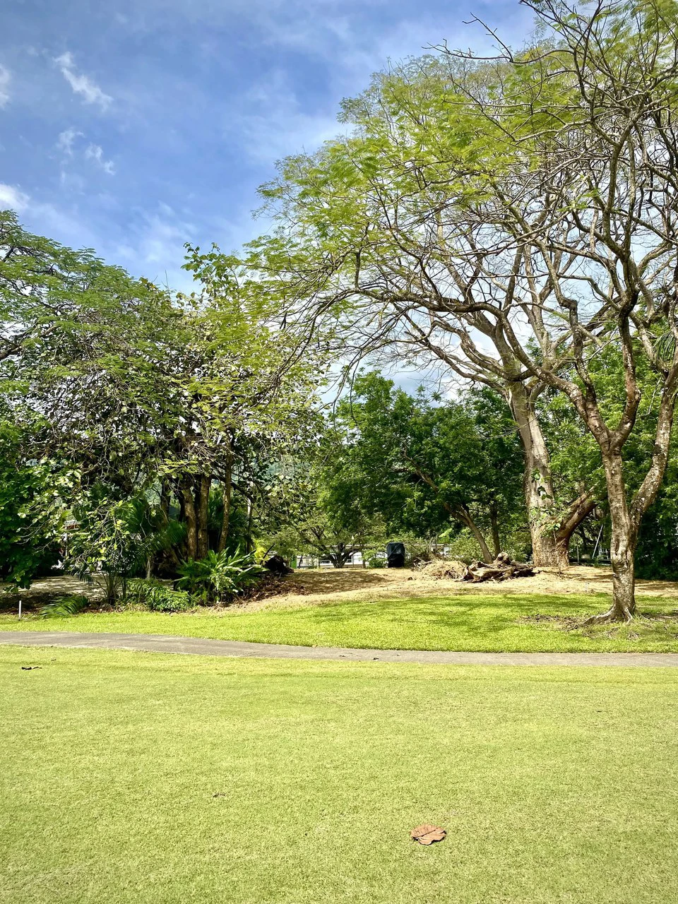 $340,000 USD Golf Garden Lot for Sale:  Build your dream home today! Gated Los Delfines Golf & Country Club Beachfront Village:  - 5 min walk to Swimming beach in Bahia Ballena on the Southern Nicoya  - Gallery image 7