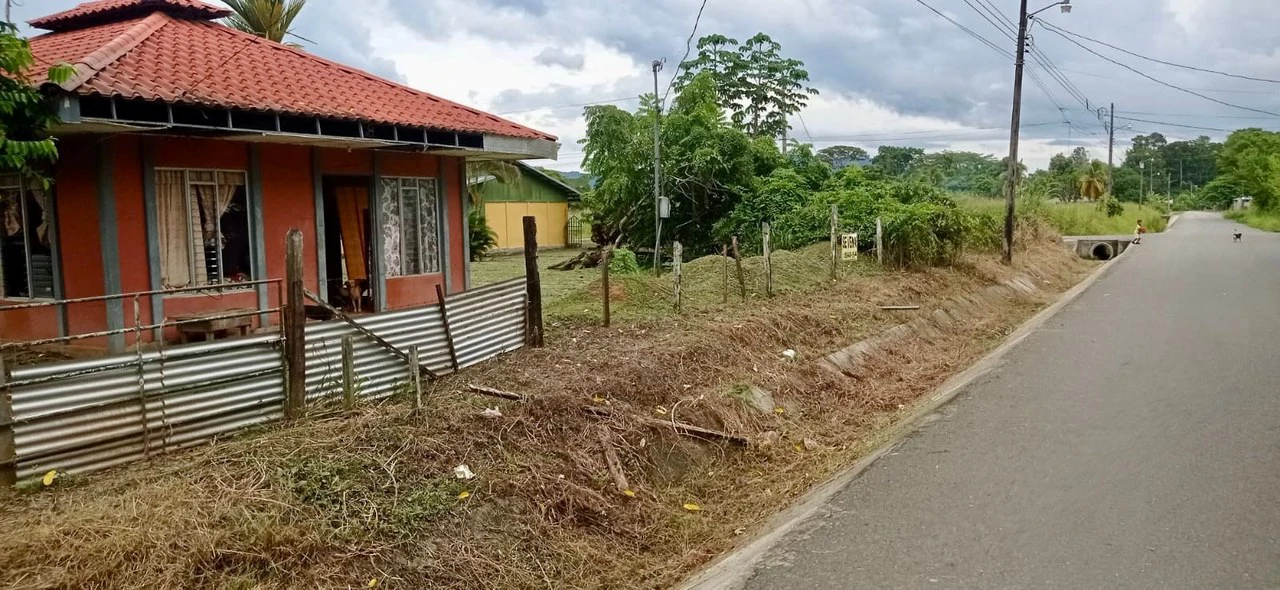 Prime Mixed-Use Property in La Palma, Puerto Jimenez - Gallery image 9