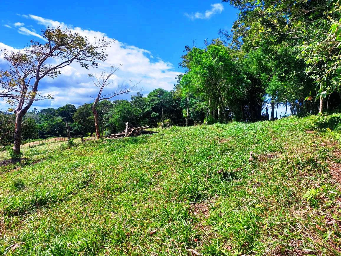 LA CABAÑA - COUNTRY ESTATE WITH HUGE POTENTIAL - Gallery image 28