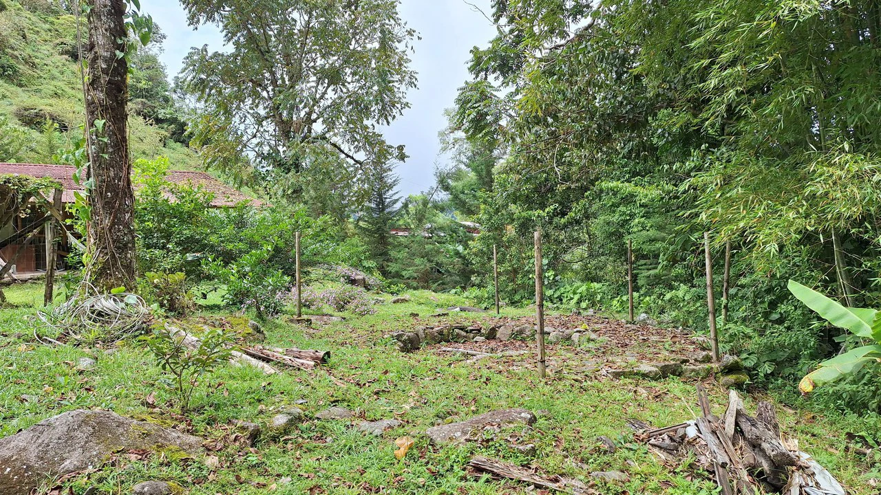 Propiedad en cedral: Mountain Home Construction Site For Sale in Cajón - Gallery image 15