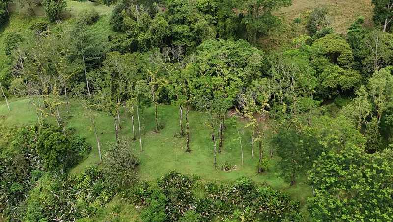 Waterfall Estate, Dos Bocas, Dominical Featuring Twin Waterfalls, Springs, Creeks & Rivers - Gallery image 43