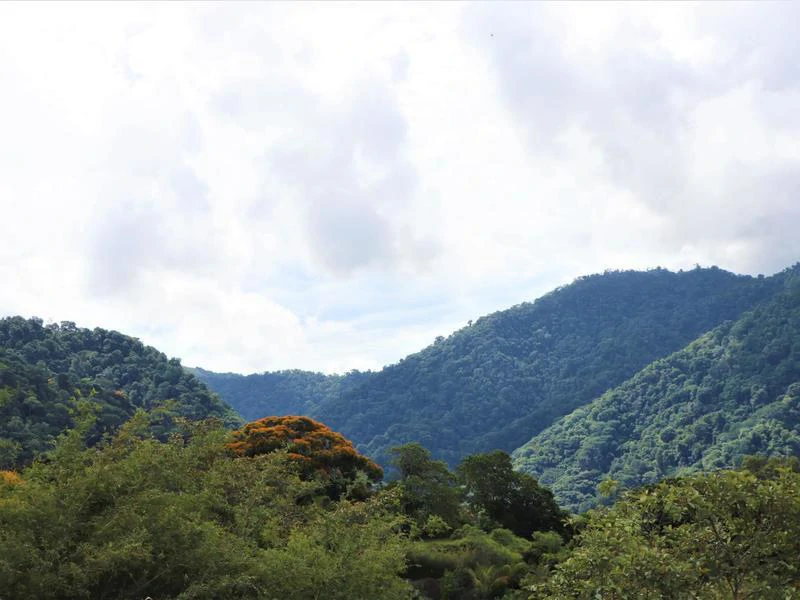 Captivating 3.15-Acre Property: Huge Pricedrop! Firesale Oceanview Lot in Tres Rios - Gallery image 53